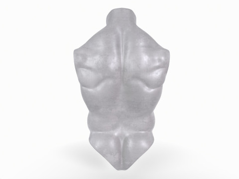 Male Torso Base Mesh Model do druku 3D