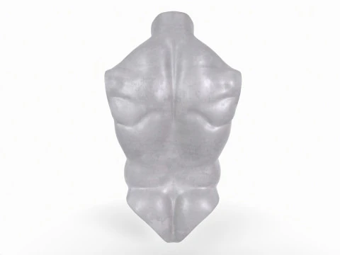 Male Torso Base Mesh 3D Print Model