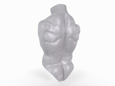 Male Torso Base Mesh Model do druku 3D