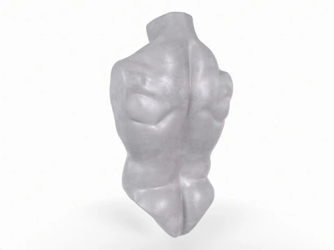 Male Torso Base Mesh 3D Print Model