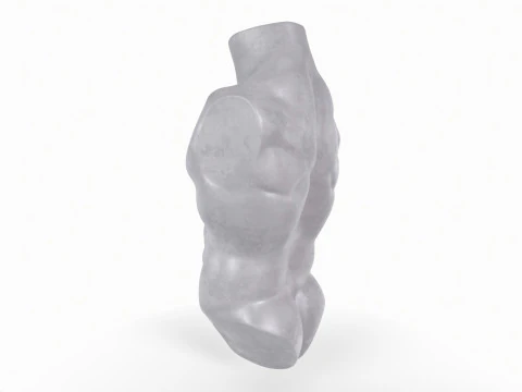 Male Torso Base Mesh 3D Print Model