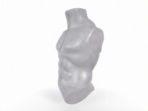 Male Torso Base Mesh 3D Print Model