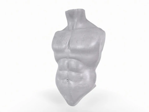 Male Torso Base Mesh 3D Print Model