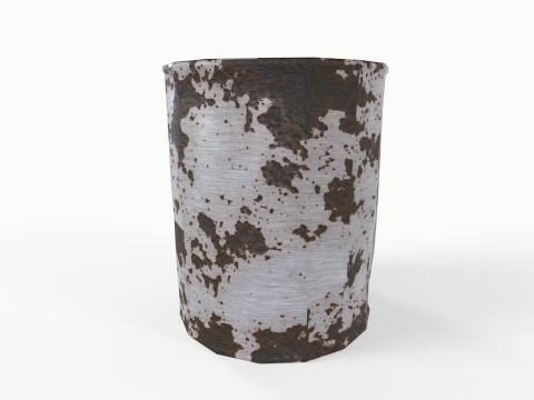 Rusted Can Modelo 3D