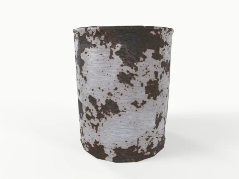 Rusted Can 3D Model
