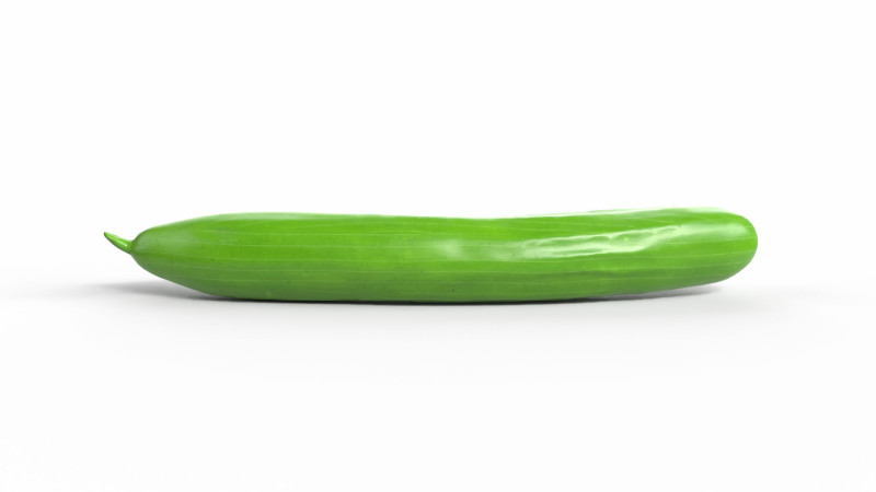 Realistic Cucumber 3D Model .c4d .max .obj .3ds .fbx .stl .blend