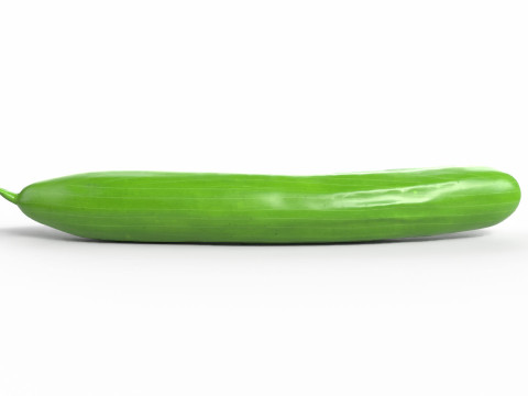 Realistic Cucumber 3D Model
