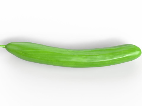 Realistic Cucumber 3D Model