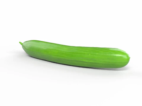Realistic Cucumber 3D Model