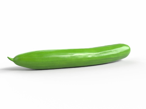 Realistic Cucumber 3D Model