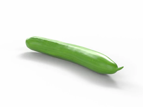Realistic Cucumber 3D Model