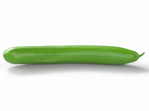 Realistic Cucumber 3D Model