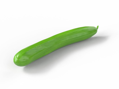 Realistic Cucumber 3D Model