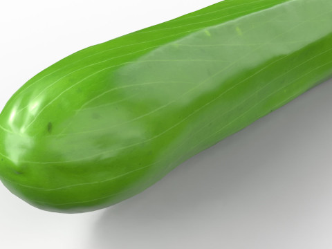 Realistic Cucumber 3D Model