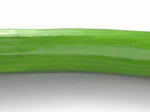 Realistic Cucumber 3D Model