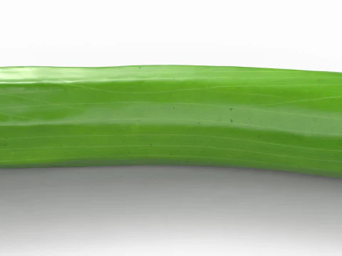 Realistic Cucumber 3D Model