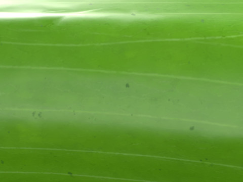 Realistic Cucumber 3D Model
