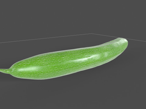 Realistic Cucumber 3D Model
