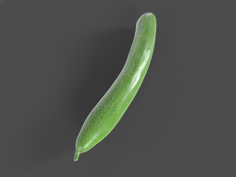 Realistic Cucumber 3D Model