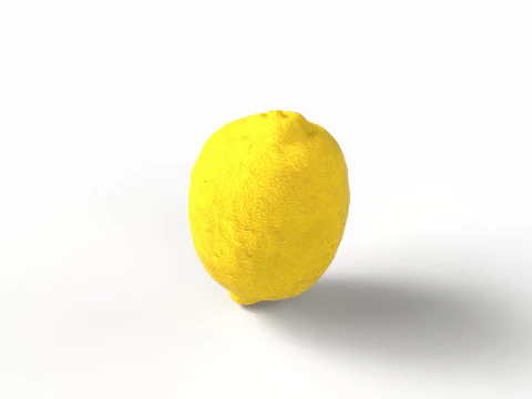 Lemon 3D Model
