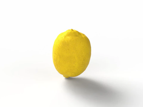 Lemon 3D Model