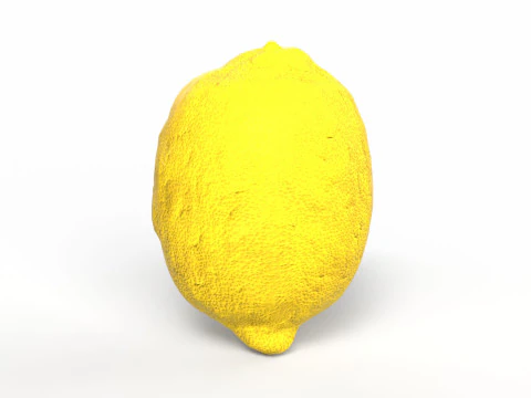 Lemon 3D Model