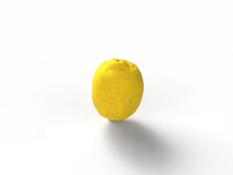 Lemon 3D Model