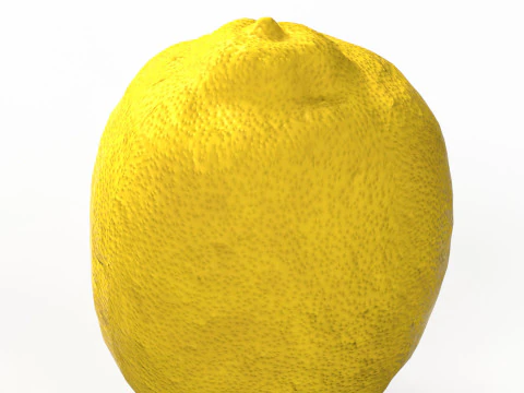 Lemon 3D Model