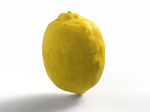 Lemon 3D Model