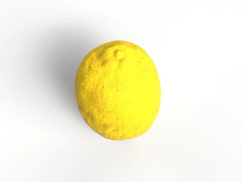 Lemon 3D Model