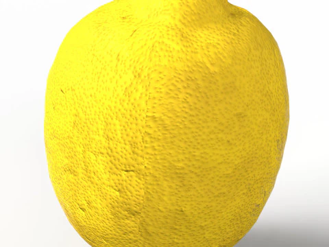 Lemon 3D Model