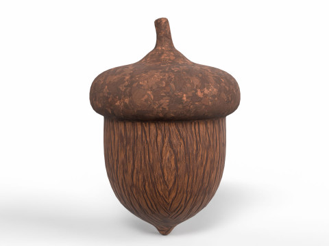 Acorn 3D Модель