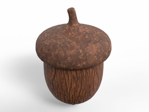 Acorn 3D Model