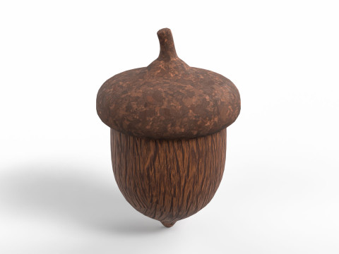 Acorn 3D Model