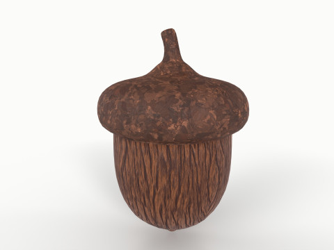 Acorn 3D Model