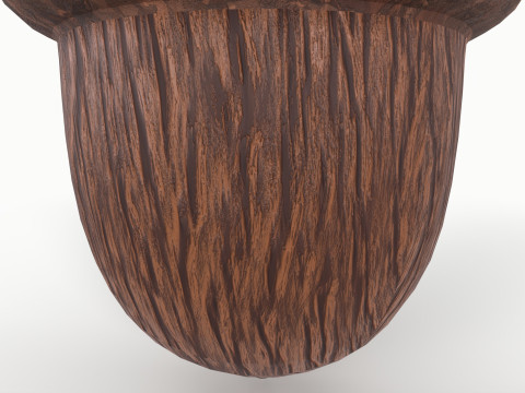 Acorn 3D Model
