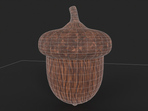 Acorn 3D Model
