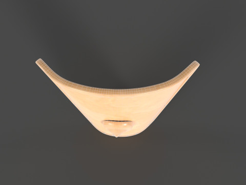 Medieval Shield Model 3D