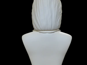 hillary clinton 3D Print Model