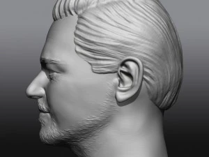 leonardo dicaprio 3D Print Model