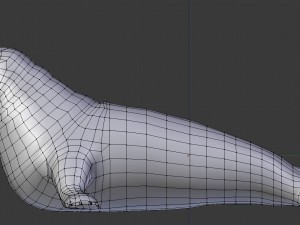 elephant seal low poly 3D 모델
