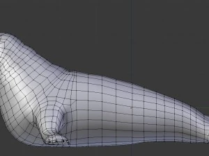 elephant seal low poly 3D Model
