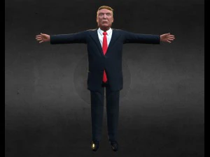 donald trump basso poli Modello 3D