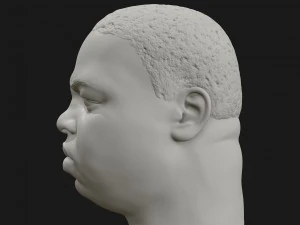 biggie 3d printable portrait 3D Print Model