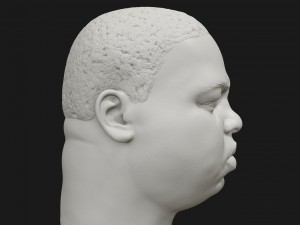 biggie 3d printable portrait Model Cetak 3D