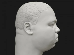 biggie 3d printable portrait 3D Print Model