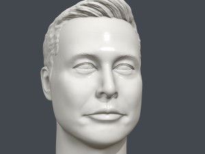 elon musk 3d printable portrait 3D Print Model