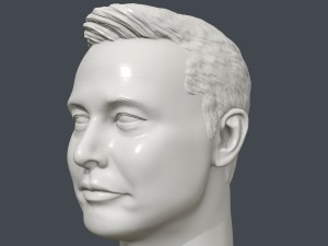 elon musk 3d printable portrait 3D Принт Модель