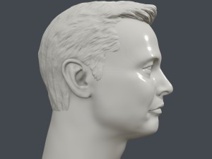 elon musk 3d printable portrait 3D Принт Модель