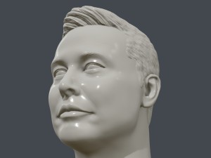 elon musk 3d printable portrait 3D Принт Модель